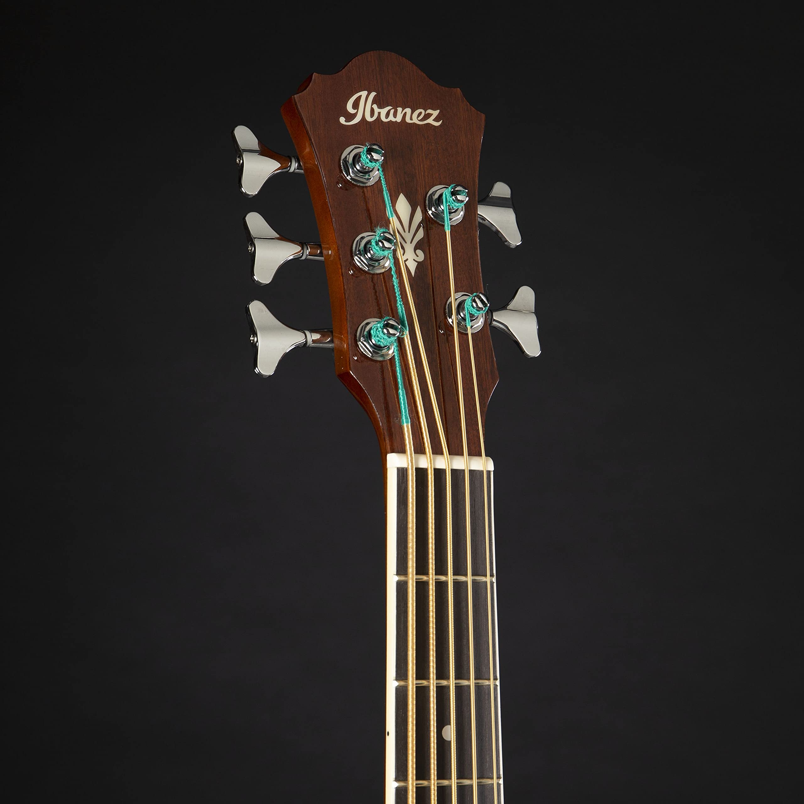 Amazon.com: Ibanez AEB105E - Natural High Gloss : Musical Instruments